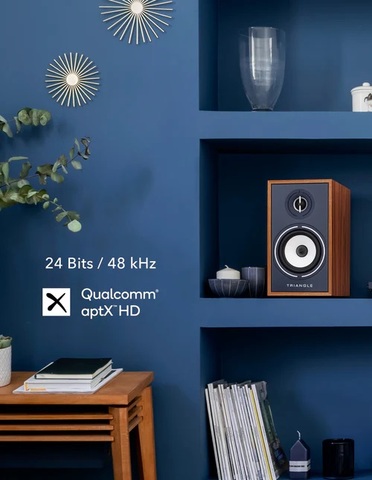 Triangle Borea BR03 Connect Bluetooth