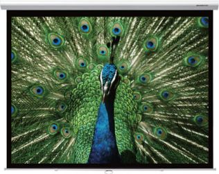 Manual Projector Screens