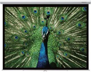 Manual Projector Screens